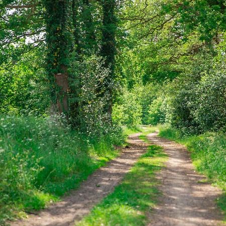 Vakantiepark Westerwolde Pagedal Stadskanaal Esterno foto